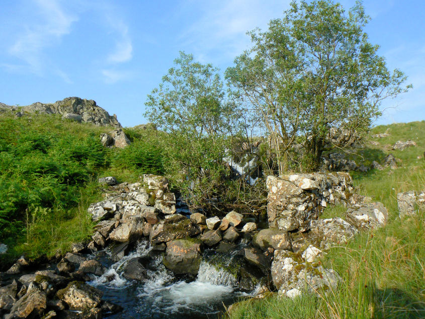 Linbeck Gill Linbeck Gill